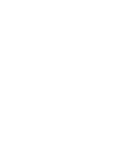 All American Lawn & Landscape, LLC